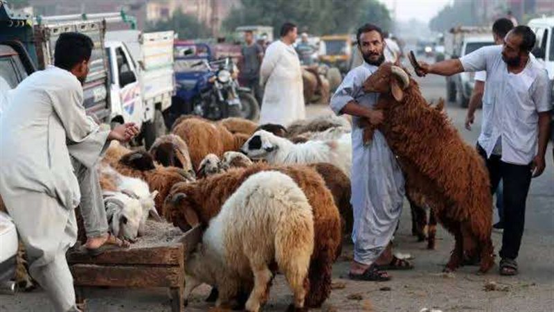 عدد أيام إجازة عيد