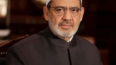 خلال لقائهما.. شيخ الأزهر يثمن موقف سلوفينيا المشرف تجاه فلسطين