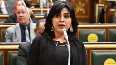 برلمانية: السيسي يرسم ملامح مستقبل المنطقة برحلات خليجية استراتيجية