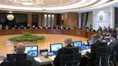 تسديد مستحقات مزارعي القطن.. وزارة المالية تعلن عن سداد 3 مليارات جنيه الأسبوع المقبل