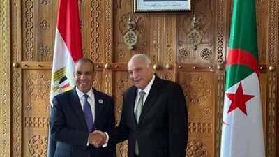 وزير الخارجية المصري ونظيره الجزائري يؤكدان ضرورة استمرار الجهود العربية في دعم خطة إعادة إعمار غزة