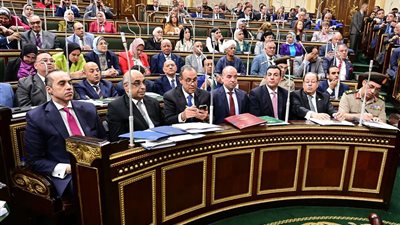 برلماني: مصر استقبلت 105 آلاف فلسطيني من الجرحى والمصابين للعلاج في مستشفياتها