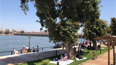 توقعات الأرصاد لـ حالة الطقس من 20 إلى 23 أبريل 2025.. تفاصيل كاملة