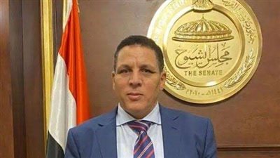 برلماني: الأزهر والكنيسة يجسدان أسمى معاني الحب والتآخي بين أبناء الشعب الواحد