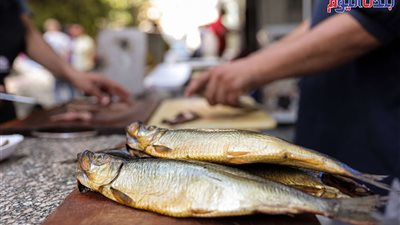 الفسيخ والرنجة علاقة عشق لدى المصريين في شم النسيم