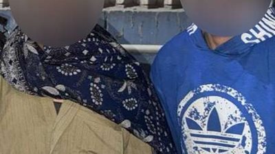 تعذيب حصان في شوارع القاهرة.. الأمن يكشف الواقعة ويضبط الجناة