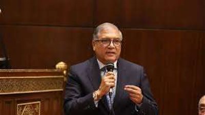 برلماني: لجنة العلاقات الخارجية بمجلس الشيوخ تدعم جهود السيسي الدبلوماسية والاقتصادية