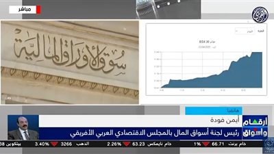 خبير اقتصادي: تراجع التوترات الجيوسياسية والتجارية على الساحة العالمية ساهم في تهدئة الأسواق الدولية