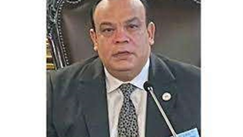 المستشار حازم بدوي،