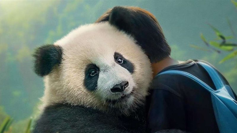 Moon the Panda