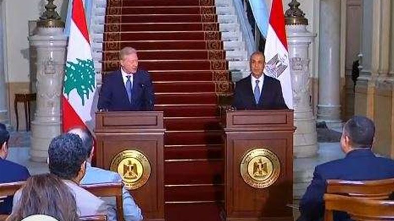 الدكتور بدر عبد العاطي،