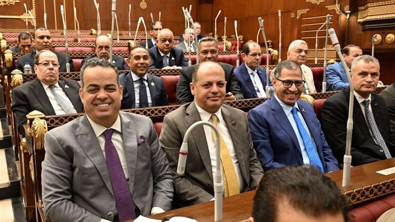 مجلس الشيوخ