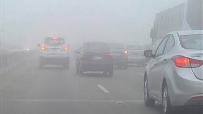 حالة الطقس اليوم الجمعة 25 أبريل.. أجواء ربيعية نهارًا وتحذيرات من شبورة مائية كثيفة