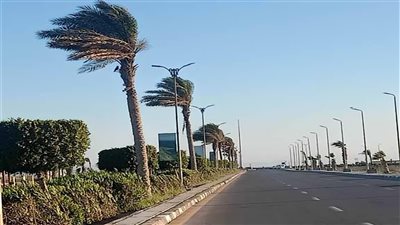 الأرصاد الجوية تكشف حالة الطقس المتوقعة غدًا الأحد