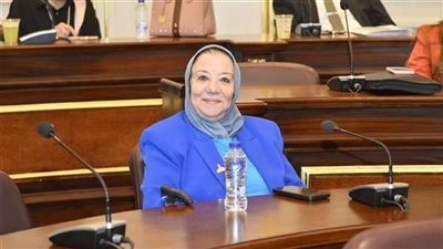 حياة خطاب: مصر نموذج عالمي في تحقيق الاستقرار الأمني والاقتصادي رغم التحديات