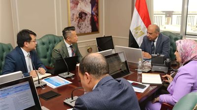 تعاون مصري صيني في مجال الكهرباء.. تطوير الشبكات وتخزين الطاقة