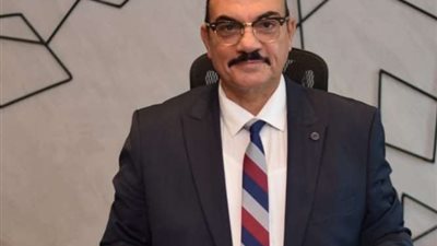 أستاذ علوم السياسية: قناة السويس تحت السيادة المصرية ولن تمر أي سفينة دون دفع رسوم