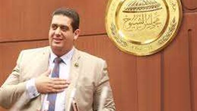 وليد التمامي يطالب بحل عاجل لأزمة النقل السياحي ومواكبة تطور القطاع 