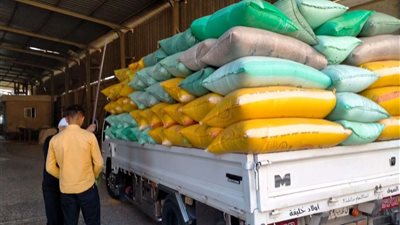 منذ بدء موسم الحصاد وحتى اليوم.. 