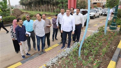 جولة موسعة لمحافظ المنوفية بالباجور (صور)