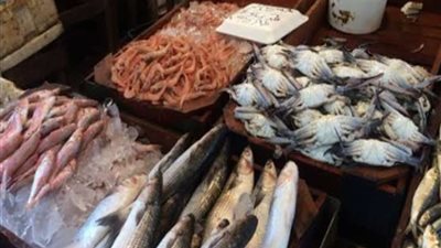 البوري بـ 120 جنيهًا.. أسعار الأسماك اليوم الأربعاء 30 إبريل 2025
