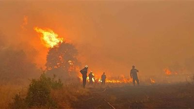 حرائق هائلة تجتاح القدس.. وإسرائيل تطلب من 5 دول سرعة التدخل للمساعدة