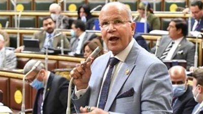 خاص| النائب سيد شمس الدين: الشعب المصري يلتف حول قيادته السياسية