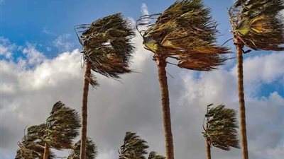 حالة الطقس اليوم الجمعة 2 مايو 2025.. رياح نشطة وأمطار خفيفة وأجواء متفاوتة في أنحاء البلاد
