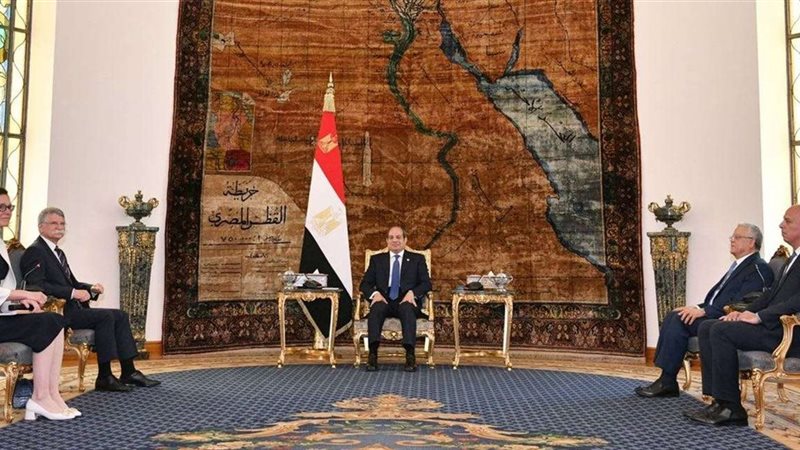 السيسي