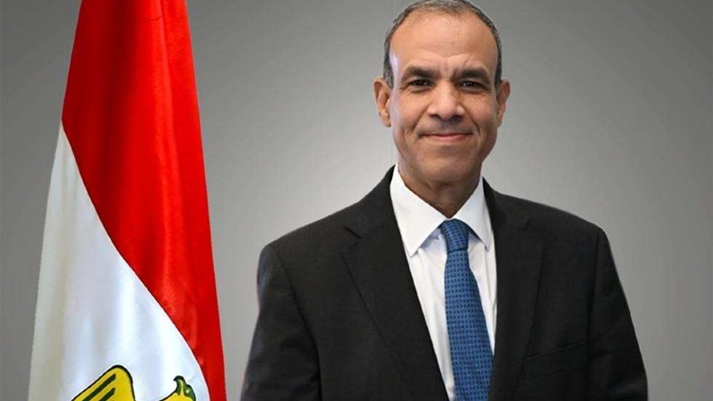 السفير بدر عبد العاطي