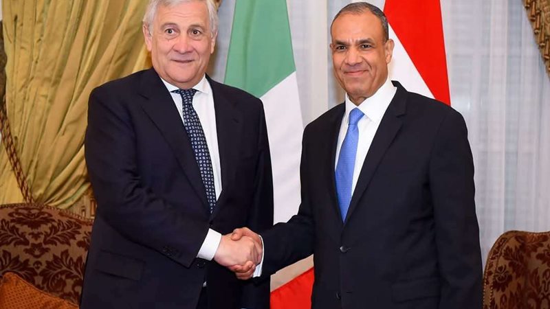 وزير الخارجية المصري