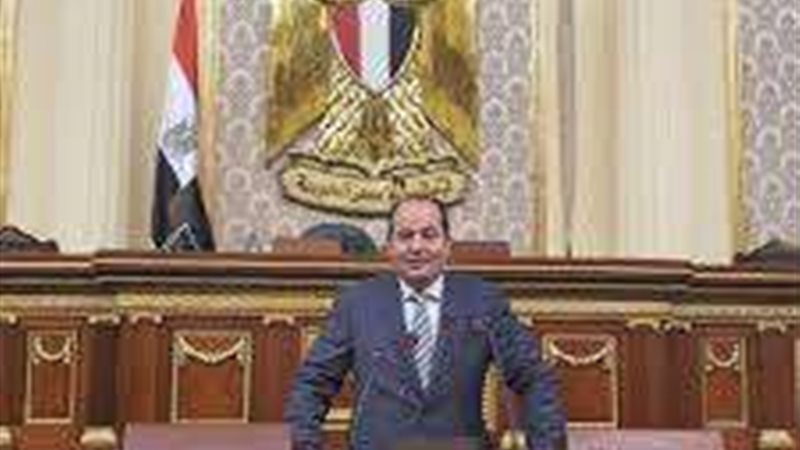 النائب عبد الباسط
