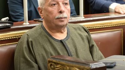 عضو لجنة الزراعة بمجلس النواب: الدولة تتحمل الخسائر لتصل المبيدات مدعومة للفلاح 