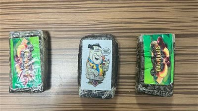 ضبط راكب أجنبي بحوزته كمية من مخدر الحشيش والحبوب المخدرة