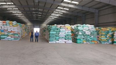 مديرية التموين بكفر الشيخ: استلام أكثر من 92 ألف طن من القمح المحلي حتى الآن