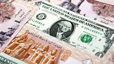 50.55 جنيه للشراء.. ثبات أسعار الدولار وفقا للتحديث الأخير
