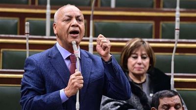 برلماني: لا نقبل الاستخفاف بعقول الناس حول أزمة البنزين