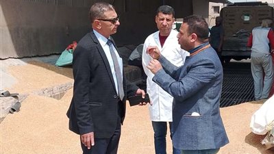 خاص.. رئيس مطاحن كفر الشيخ: بدء موسم توريد القمح المحلي من 15 أبريل حتى 15 أغسطس