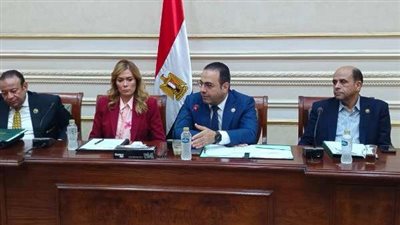 لجنة الشباب والرياضة بمجلس النواب تُقر موازنة الأكاديمية الوطنية للتدريب للعام المالي 2025/2026