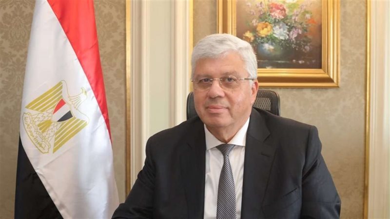 الدكتور أيمن عاشور،