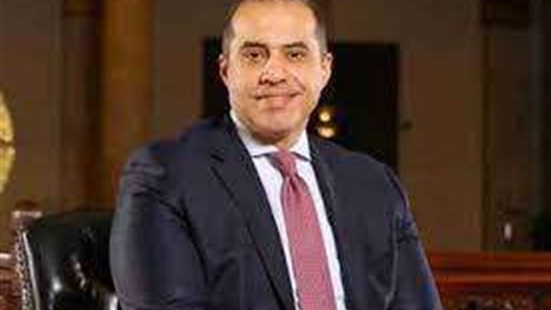 المستشار محمود فوزى
