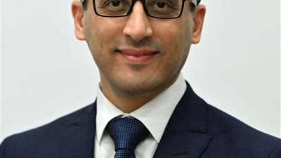 الحمصاني: الدولة تقدم كافة التسهيلات للشركات الأجنبية لجذب الاستثمارات