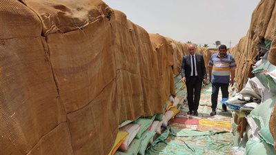 توريد أكثر من 149 ألف طن قمح للشون والصوامع بكفر الشيخ