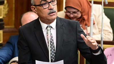 النائب إيهاب منصور يرفض إخلاء قصور الثقافة ويطالب بوقف القرار فورًا