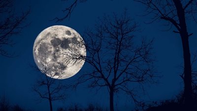 القمر في طور التربيع الثاني.. ظاهرة فلكية في سماء مصر يوم 20 مايو