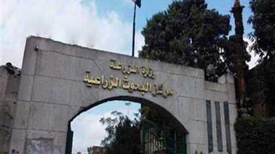 بالأرقام والتفاصيل.. اعرف إنجازات مركز البحوث الزراعية خلال الفترة من 10 إلى 16 مايو 2025