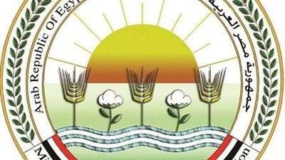 الزراعة: مزارع الدواجن تحت السيطرة.. لا نفوق ولا أوبئة والإنتاج في أمان