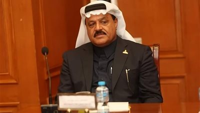 برلماني: لا يمكن لمصر أن تغض بصرها عن أزمات المنطقة