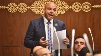 برلماني لـ«بلدنا اليوم»: الرئيس السيسي يشعر بواجبه تجاه تبني قضايا وهموم المواطن العربي