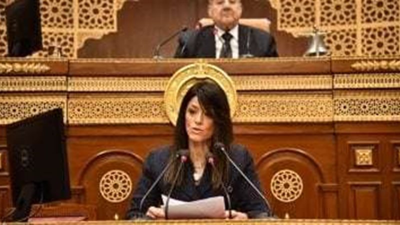وزيرة التخطيط والتنمية